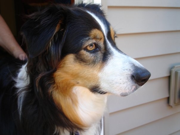 Jack deep in thought